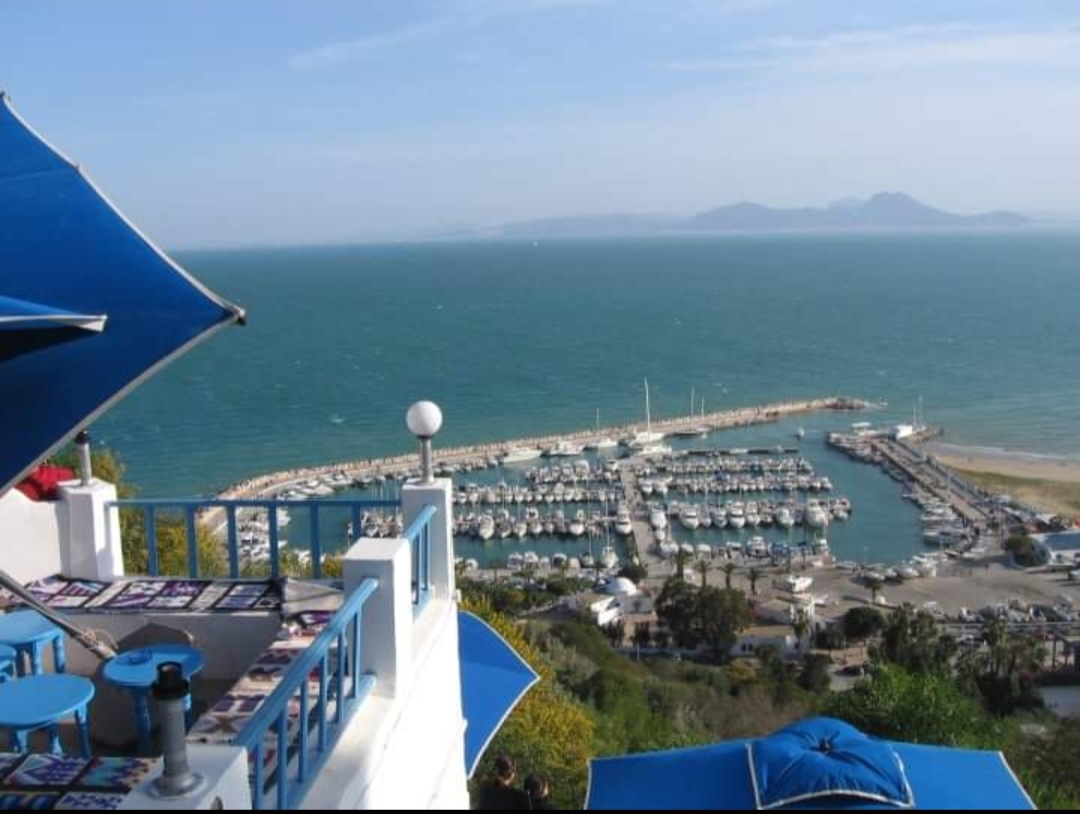 Tunis + Carthage + Sidi Bou Saïd