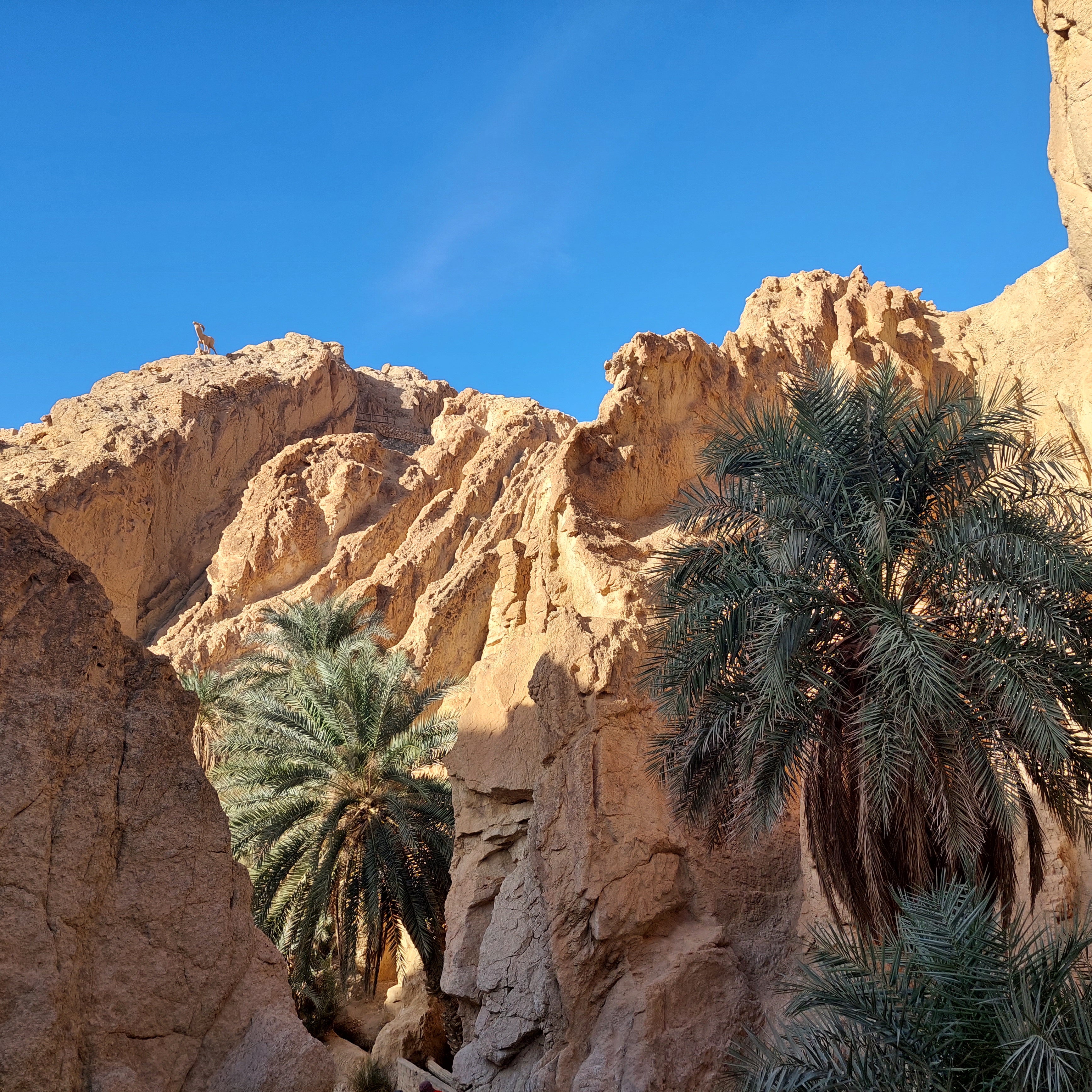 2 jours : El Jem, Matmata, Douz, Tozeur, Chebika, Tamerza